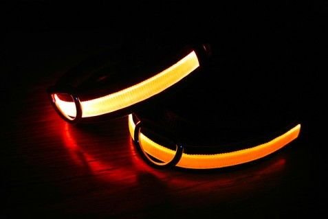 Lumi Pet – Collars (Dark)