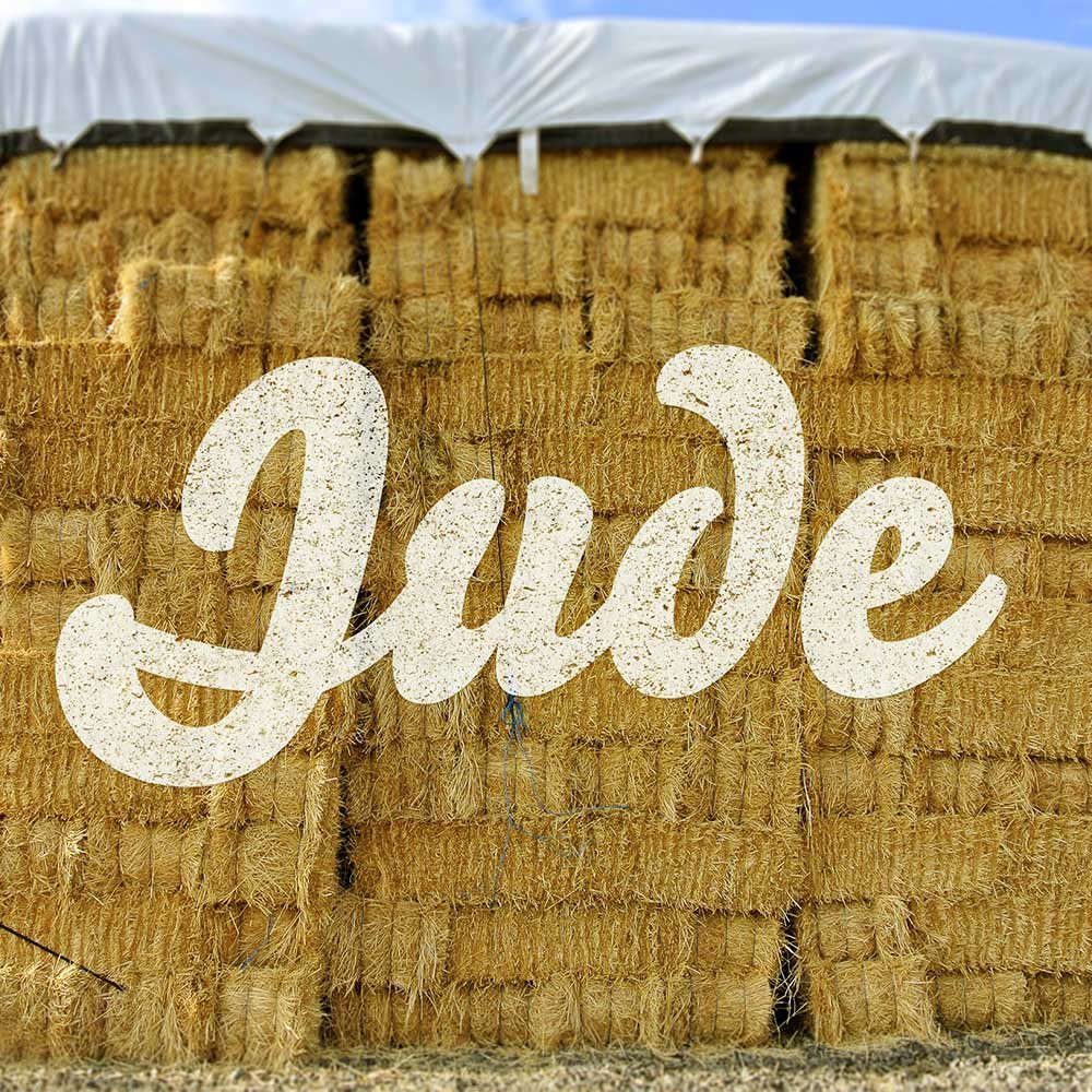 Hey Jude