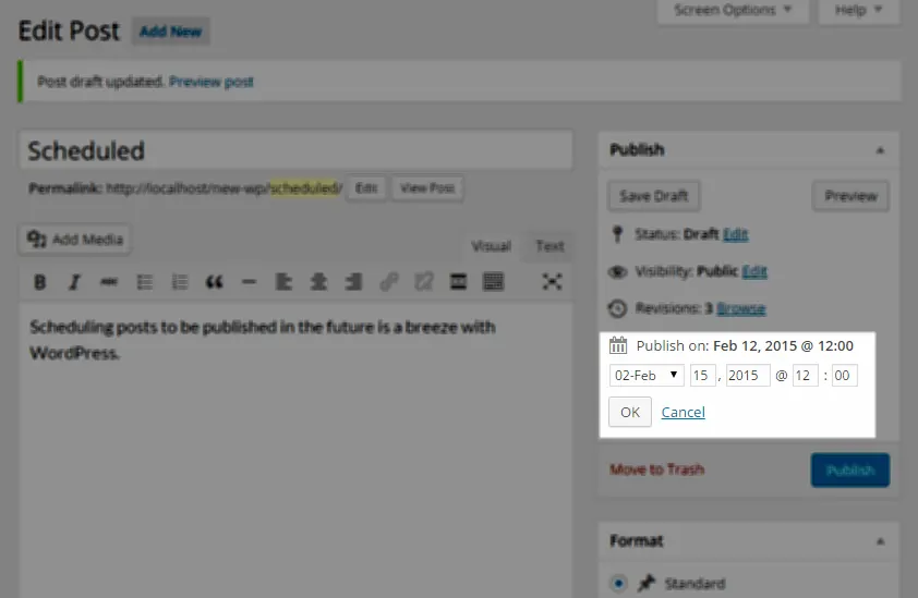 Step 3 - Select the Future Date to be Published