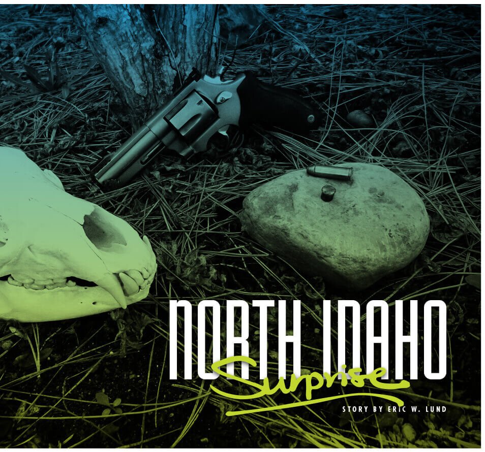 North Idaho Surprise