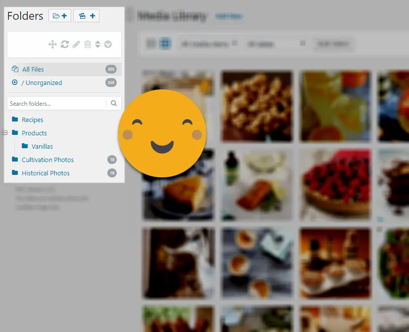 Creating Folders in WordPress Media Library