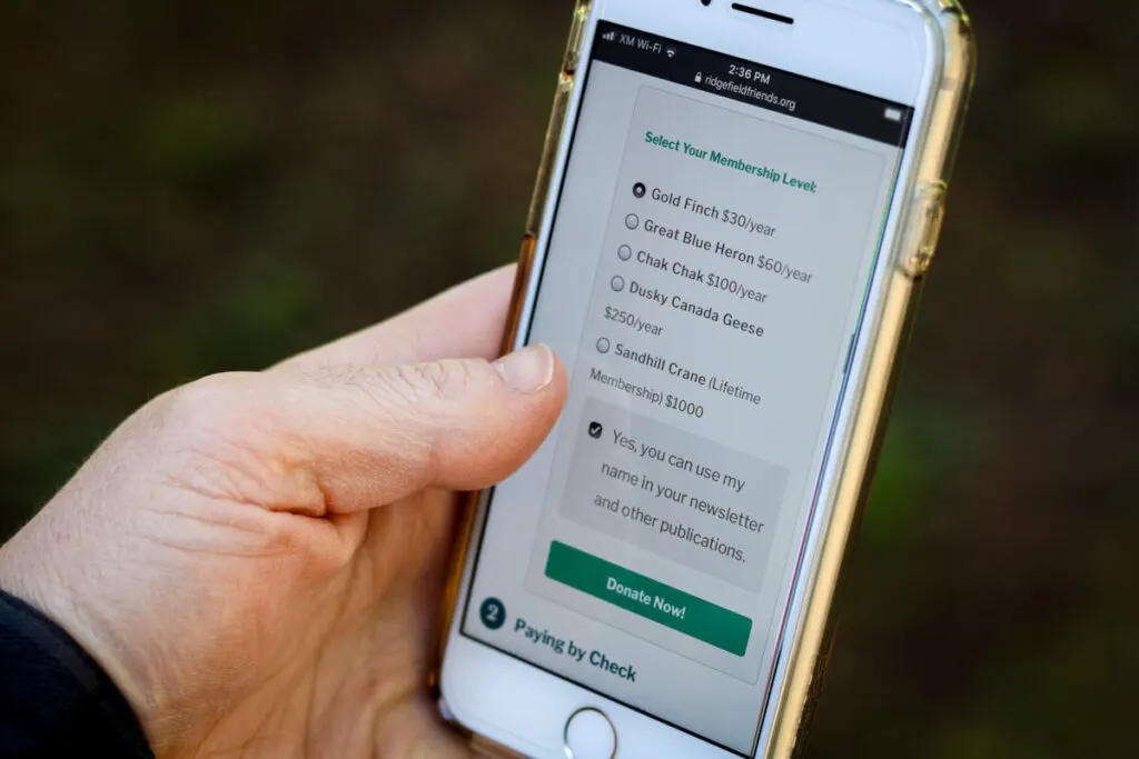 A person holding a mobile phone, making a payment on a website