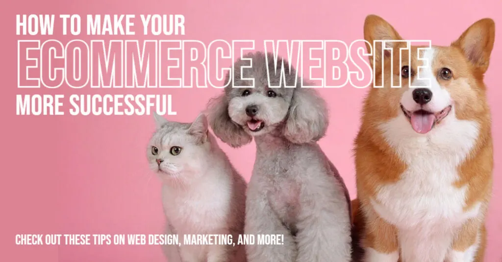 How to Make Your Ecommerce Website More Successful