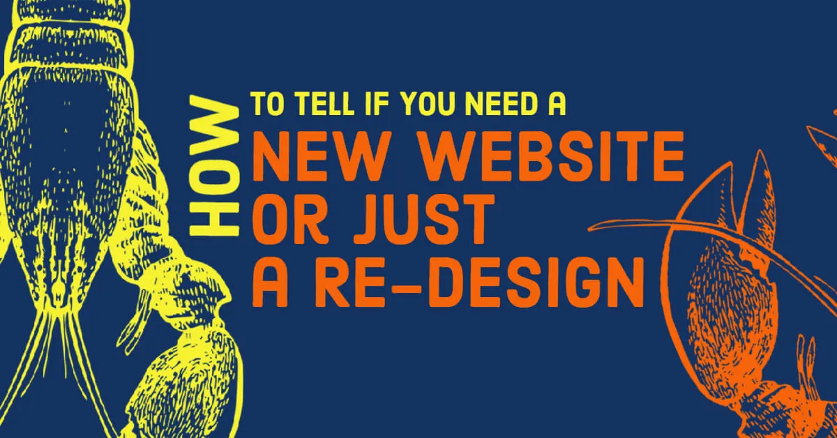 How to Tell If You Need a New Website or Just a Re Design