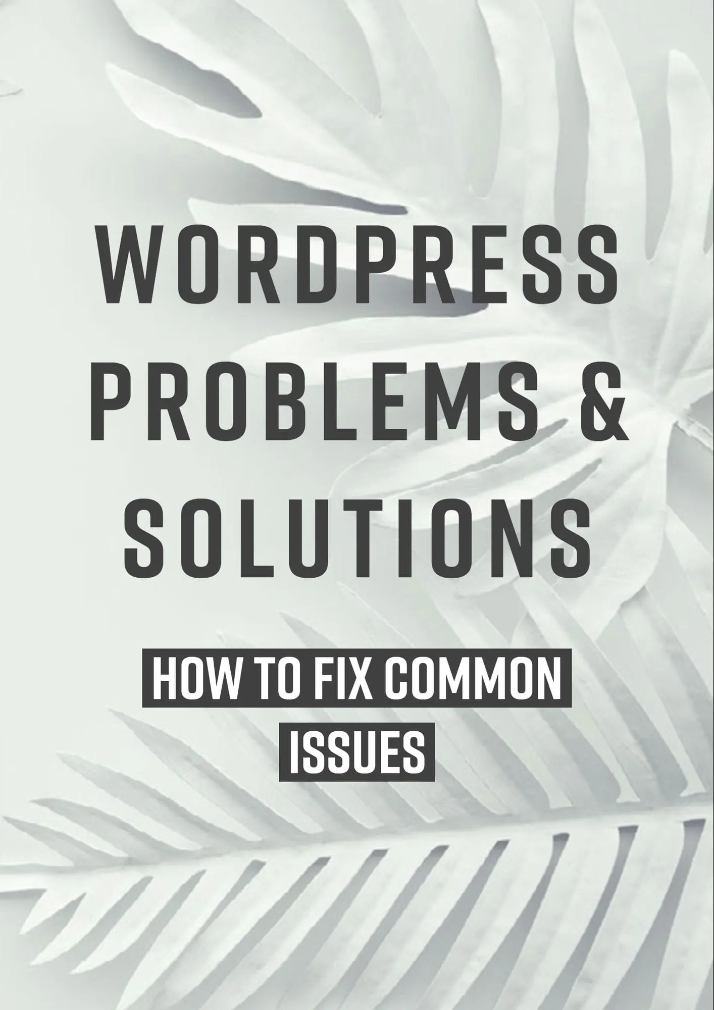 WordPress Problems and Solutions How to Fix Common Issues