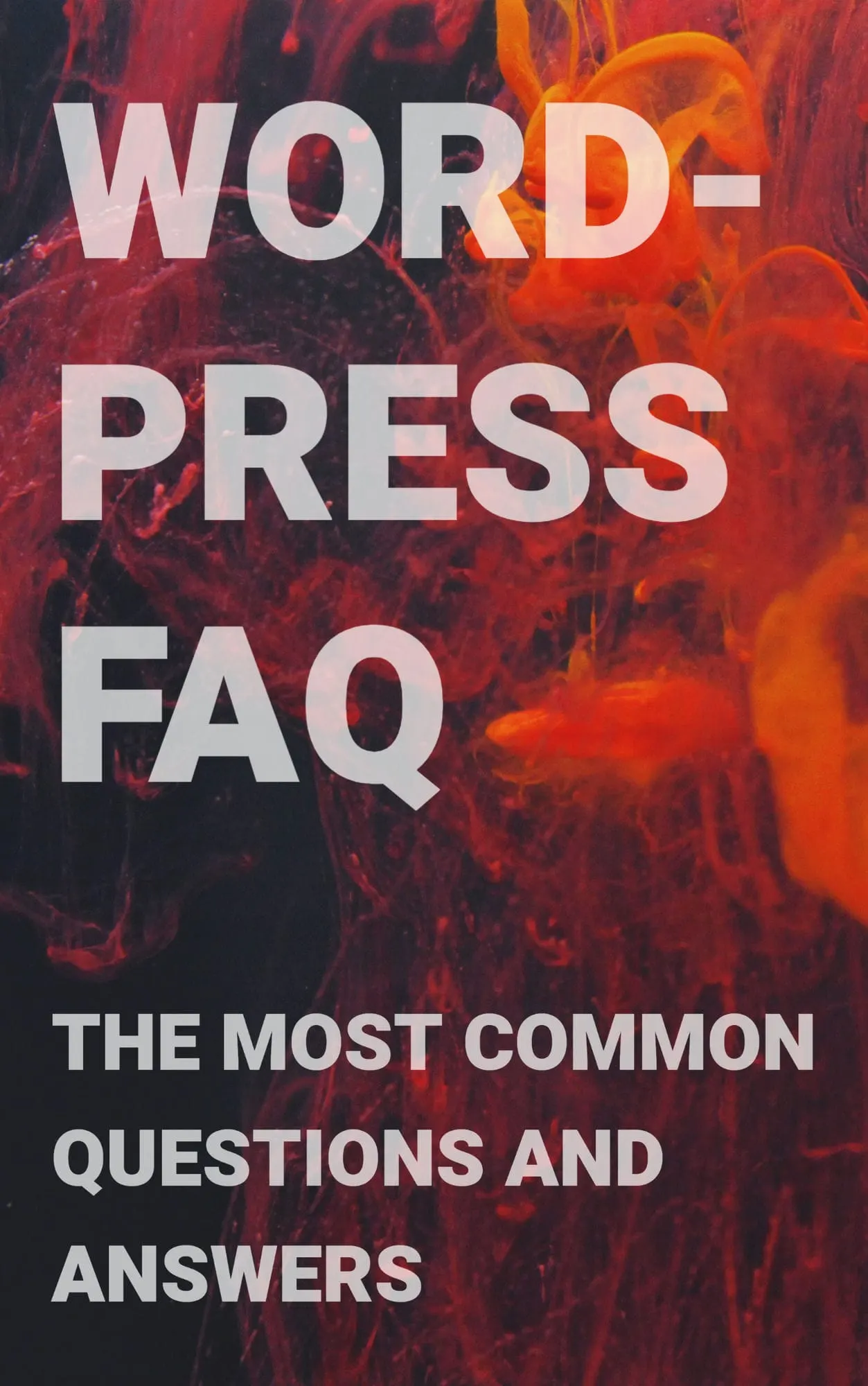 WordPress FAQ The Most Common Questions and Answers