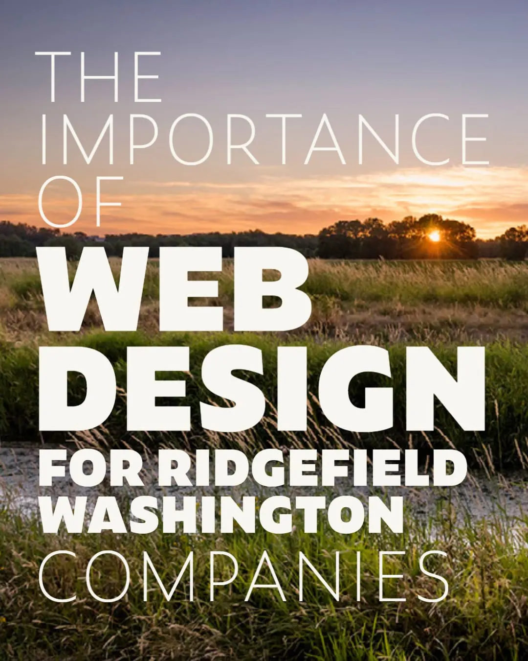 The Importance of Web Design for Ridgefield WA Companies