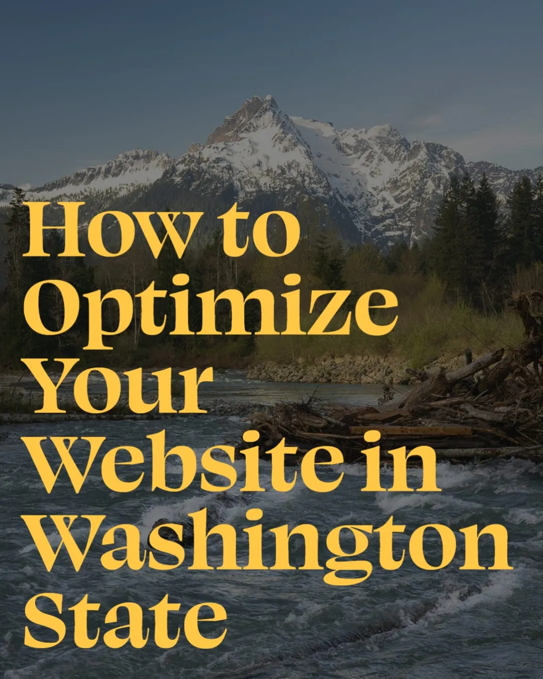 How to Optimize Your Website in Washington State