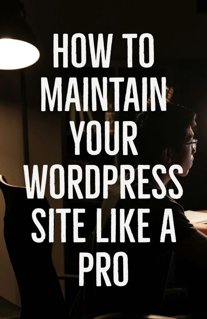 How to Maintain Your WordPress Site Like a Pro