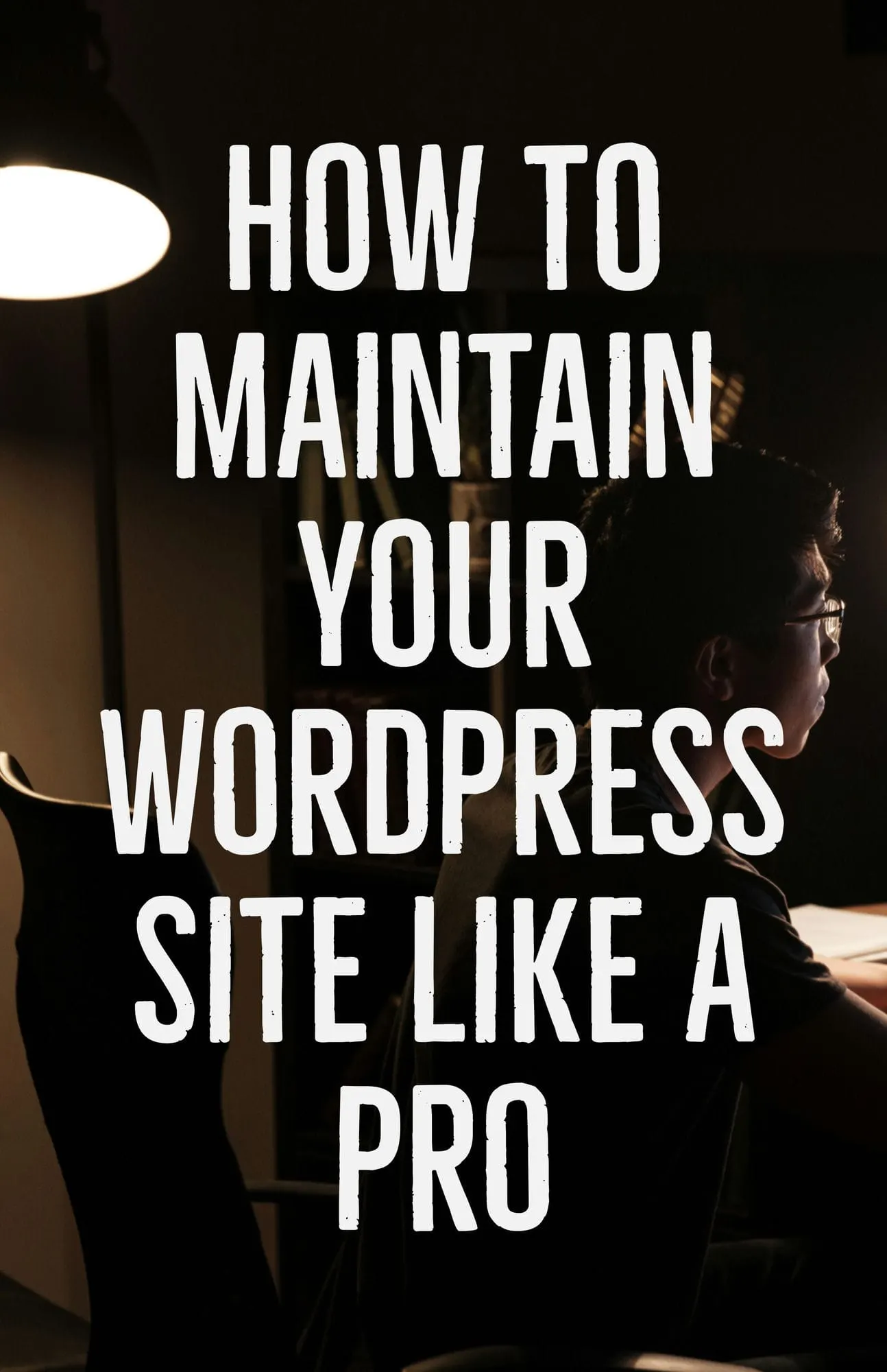 How to Maintain Your WordPress Site Like a Pro