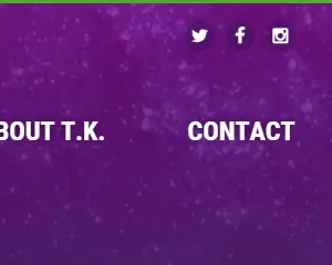 Header Social Icons