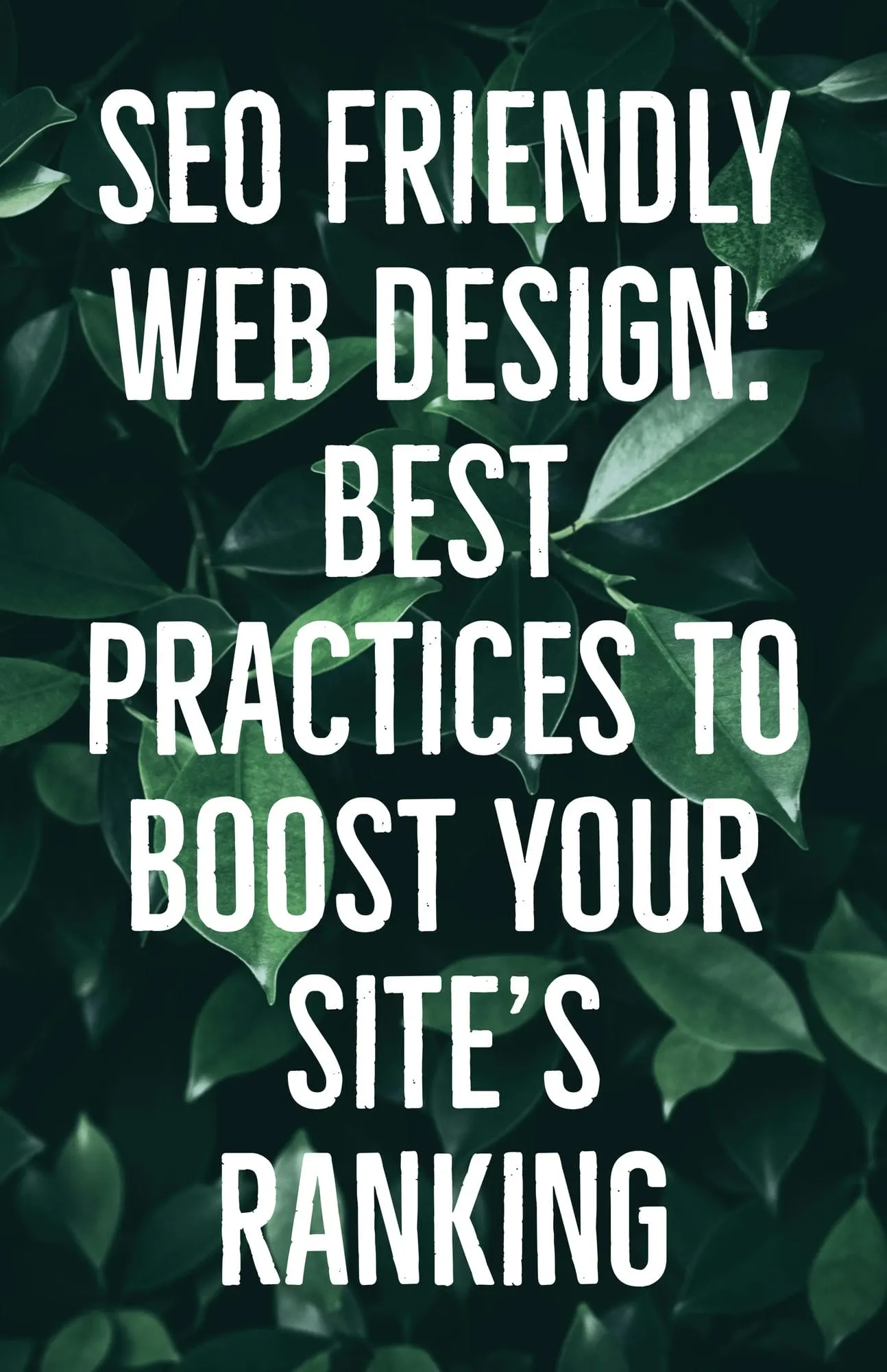 SEO Friendly Web Design Best Practices to Boost Your Sites Ranking