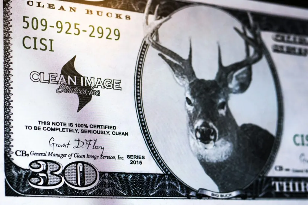 Clean Image Services – 30 Clean Bucks (print), designed by Graticle