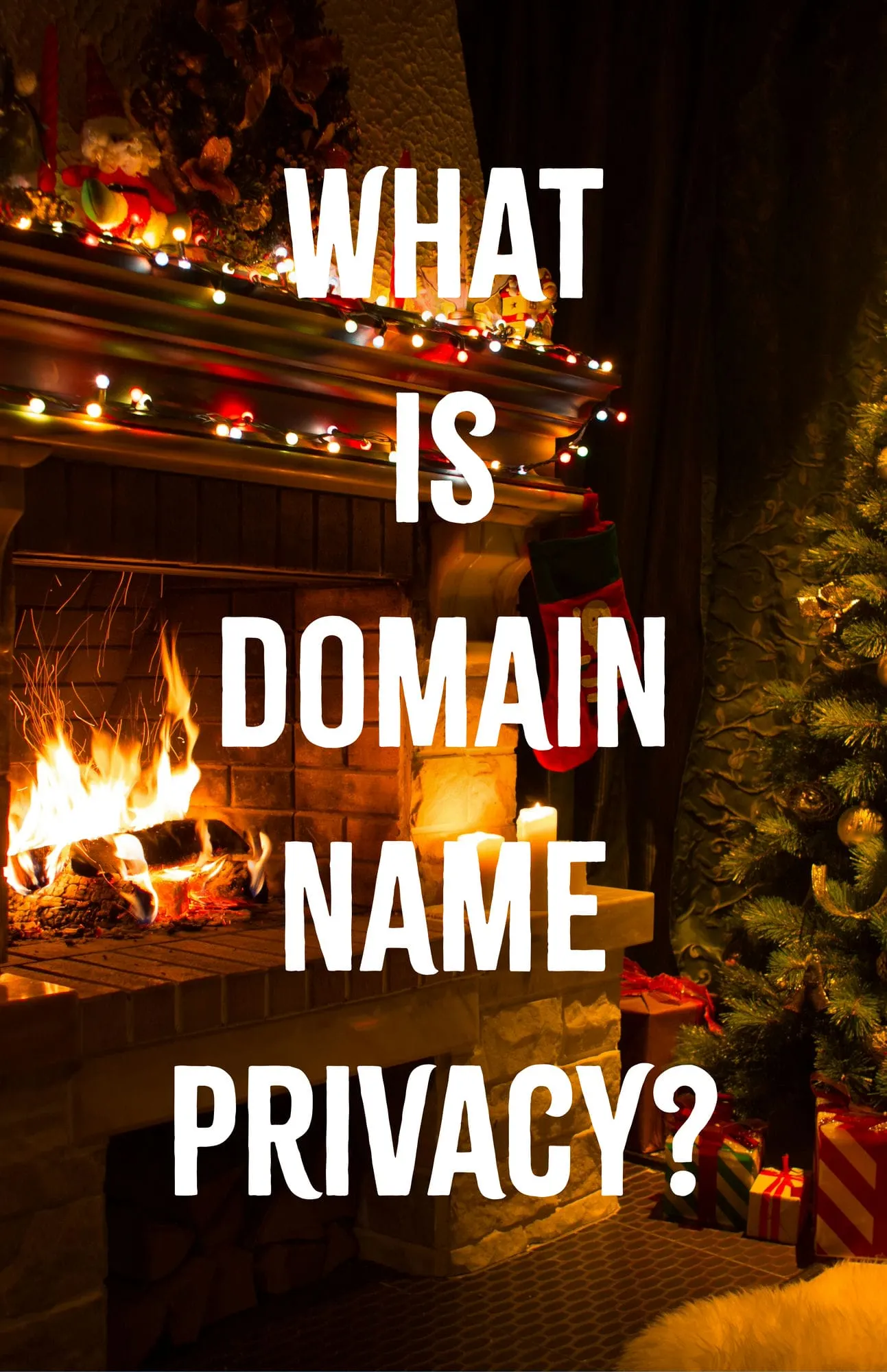 What is Domain Name Privacy