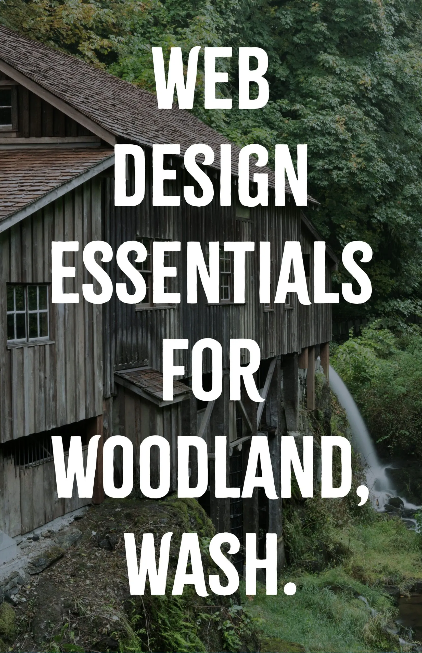 Web Design Essentials for Woodland Washington