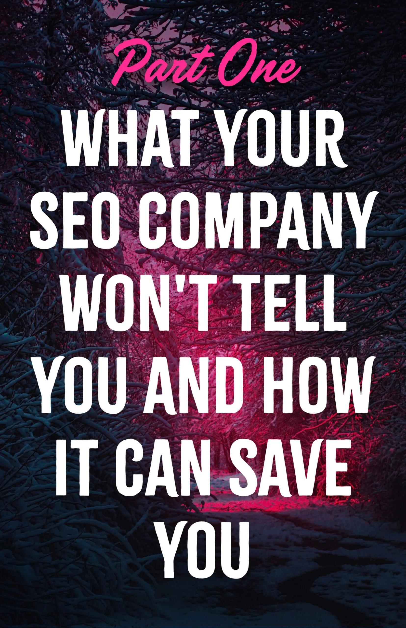 What Your SEO Company Wont Tell You and How It Can Save You Part One