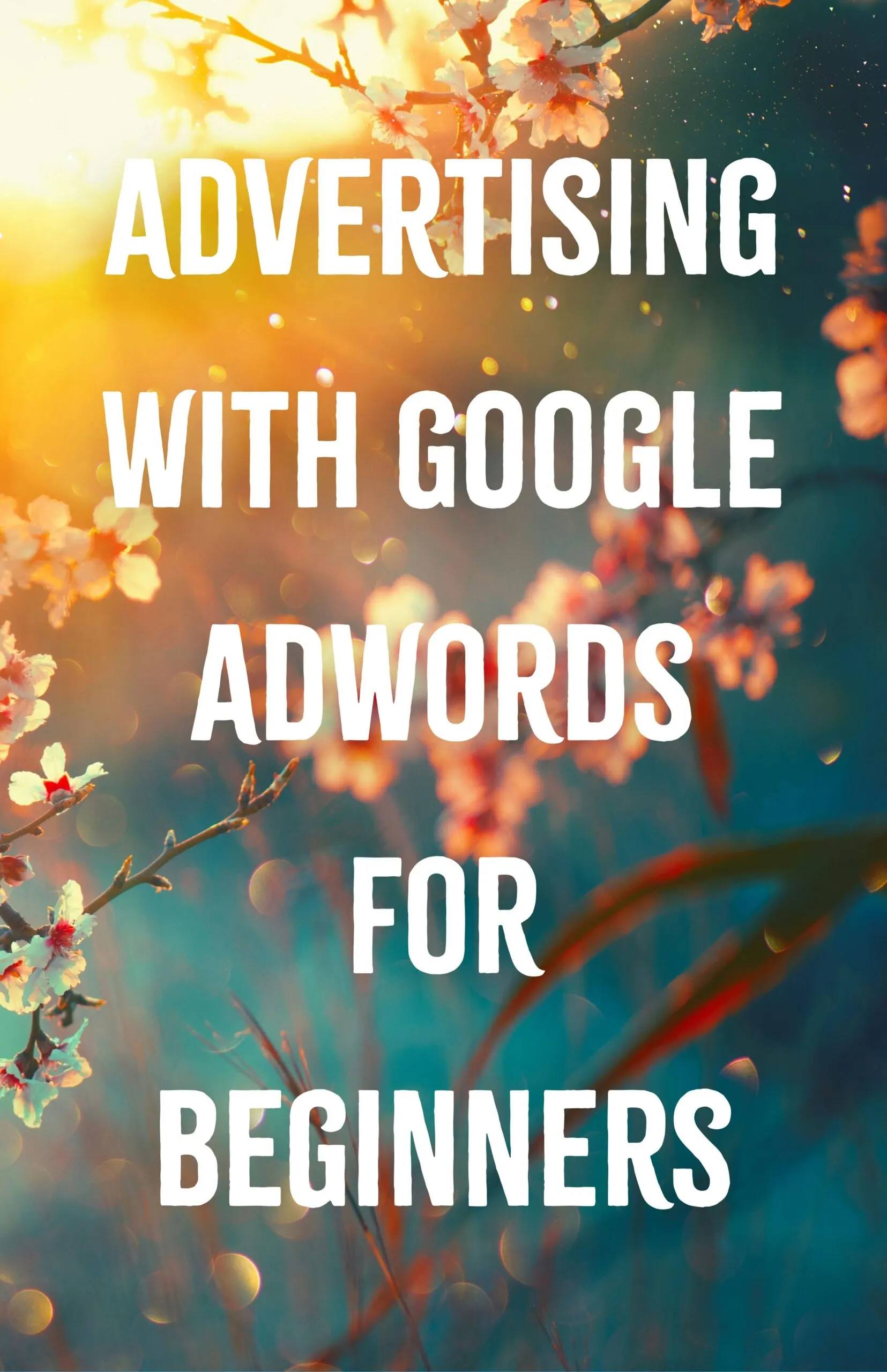 Advertising with Google AdWords for Beginners