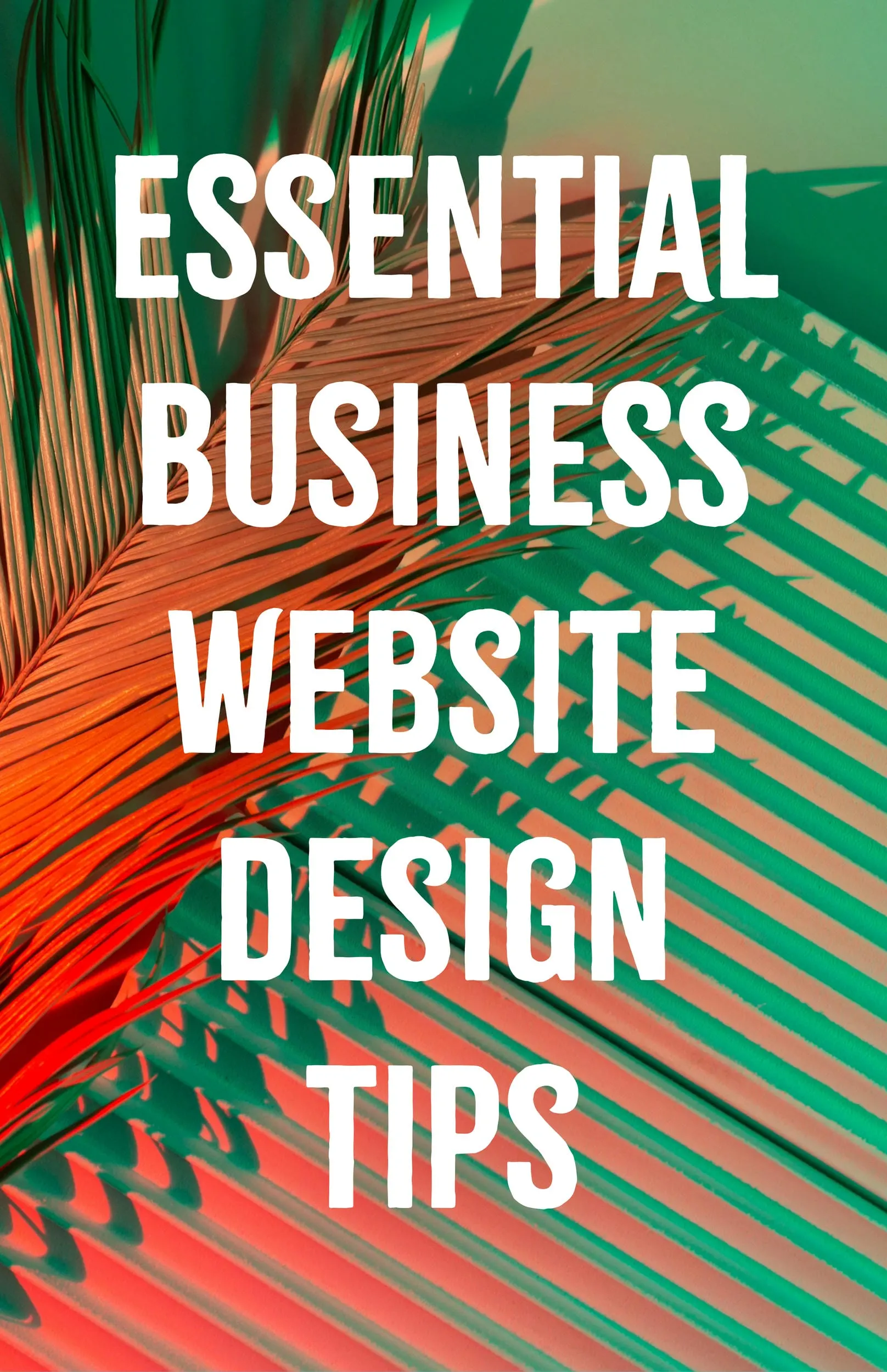 Essential Business Website Design Tips