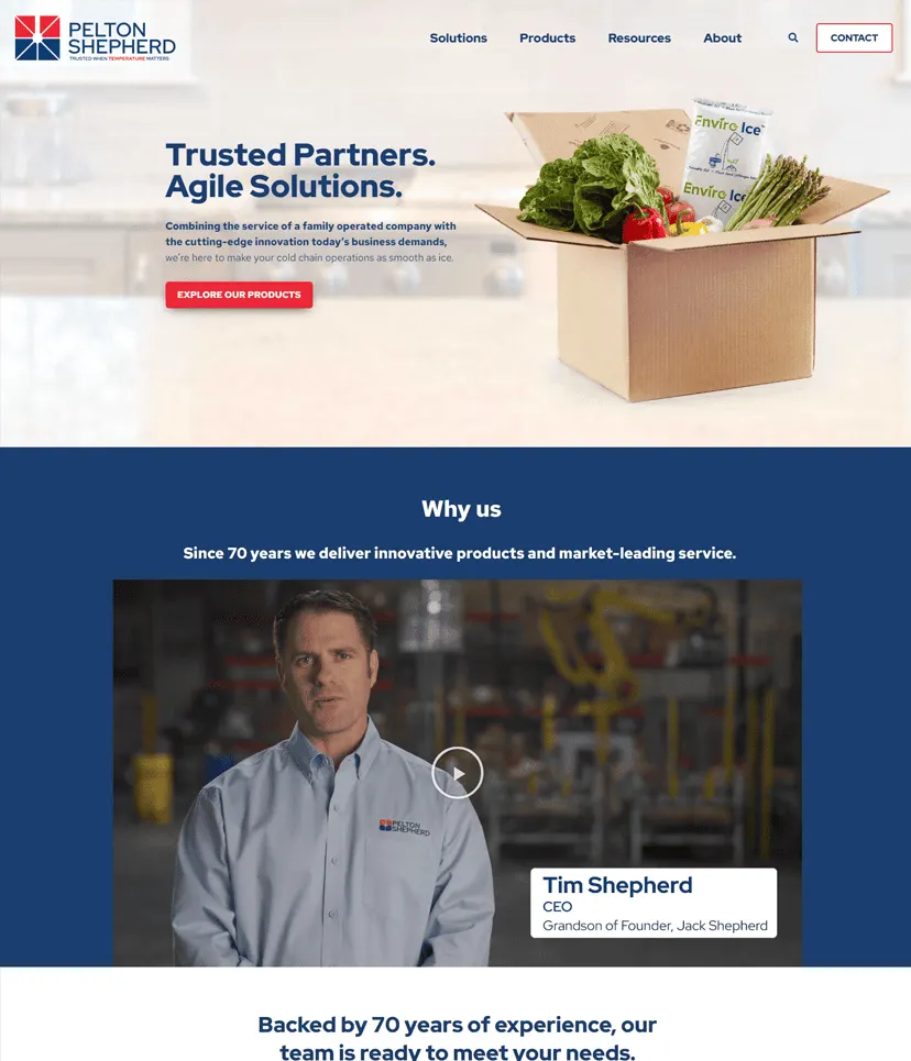 website design 