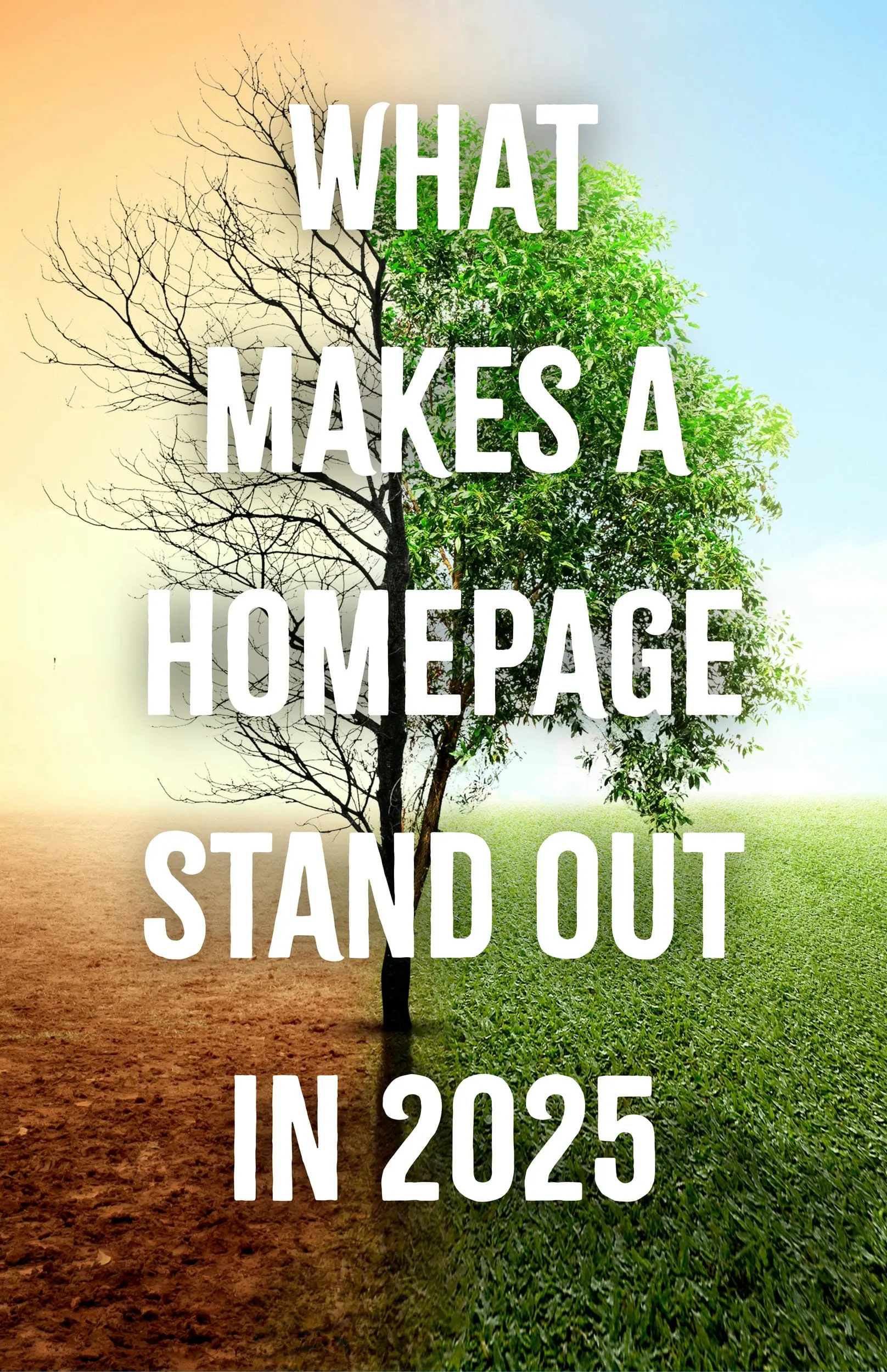 What Makes a Homepage Stand Out in