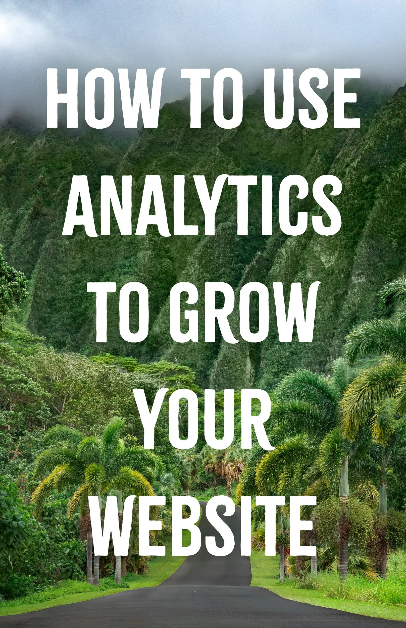 How to Use Analytics to Grow Your Website